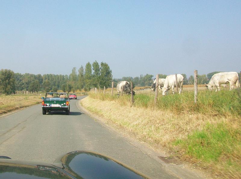 De namiddagrit verkennen we het Pajottenland en de Vlaamse Ardennen, met de Hellingen en Kasseistroken uit de Ronde van Vlaanderen (15).JPG